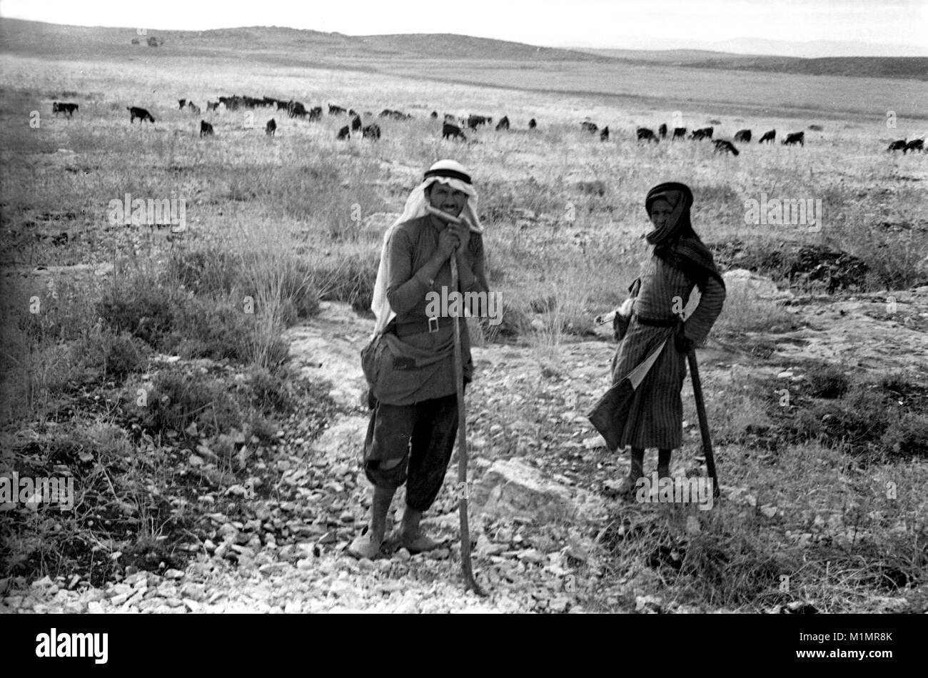 Palästinensischen Beduinen Ziege Hirten in Palästina 1940 Stockfoto