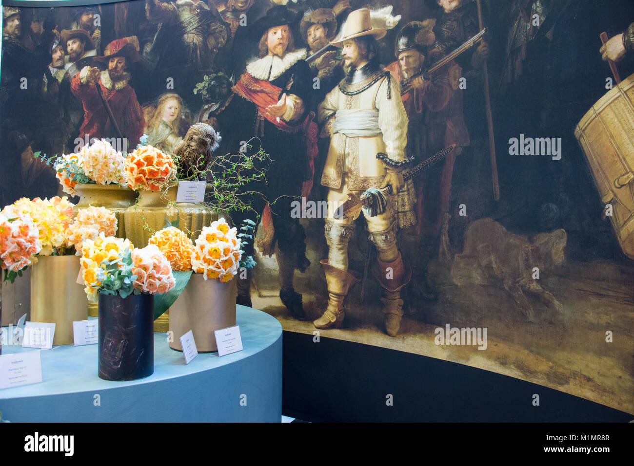 Ein mix Anzeige einer Vielzahl von Narzissen vor der berühmten Bild der Nachtwache in den Oranje Pavillon im Keukenhof, Lisse im Süden o Stockfoto