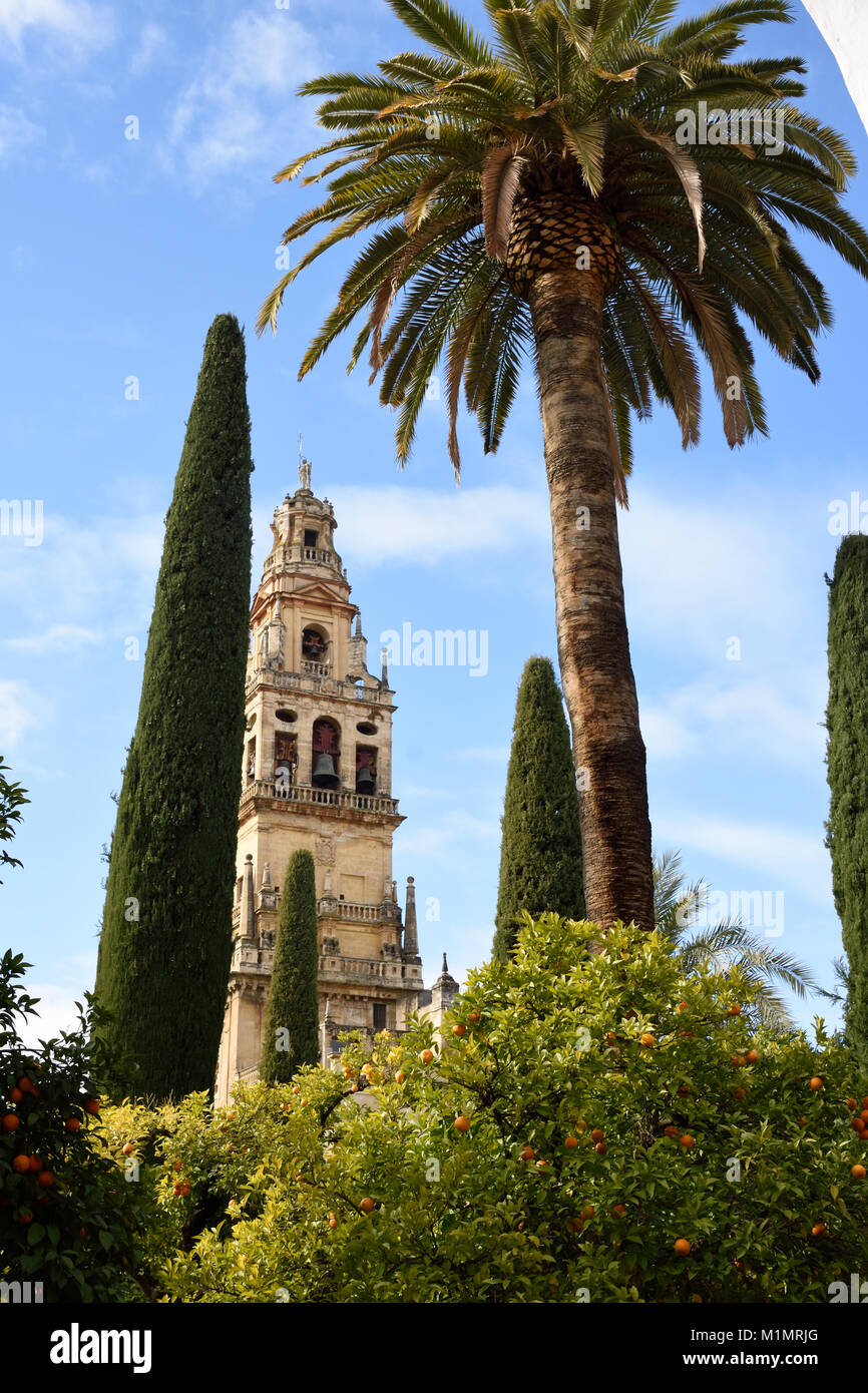 Cordoba Mesquita Kathedrale Eine Mittelalterliche Islamische Moschee In Einem Romisch Katholischen Christen Andalusien Orange Und Palmen Im Innenhof Des Orangen Umgewandelt Spanien Spanisch Stockfotografie Alamy