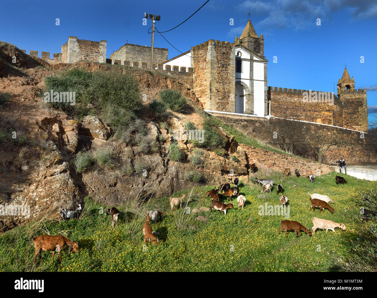 Hirte mit Ziegen Schloss von Mourão - Castelo de Mourão Portugal Portugiesisch. (Mourão war einer der Grenze Städte in Spanien und Portugal in den 13C bestritten, bis im Jahre 1297 König Dinis den Vertrag von Alcañices mit der spanische König, Fernando IV unterzeichnet) Stockfoto