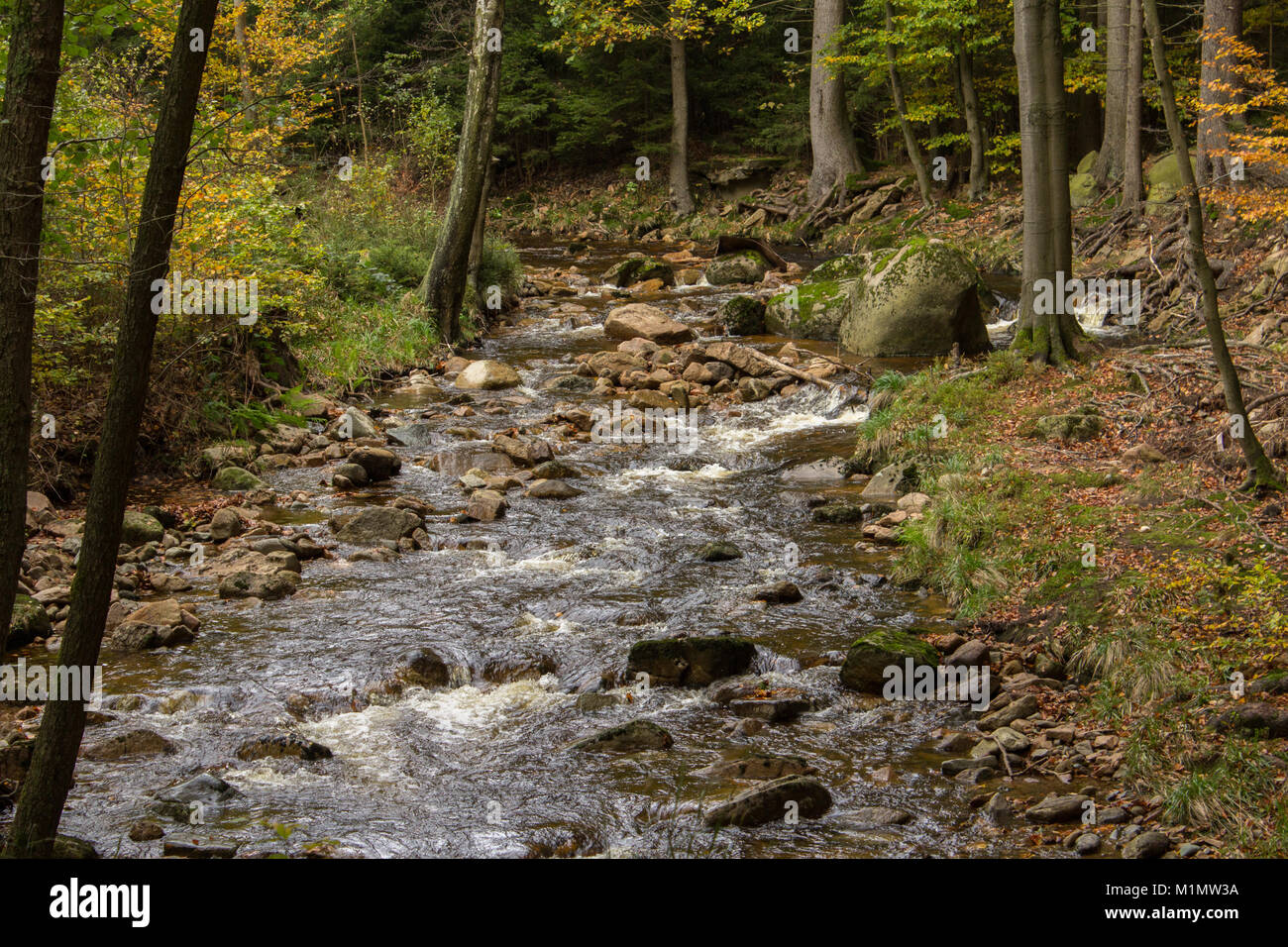 Ilse im harz Fotos und Bildmaterial in hoher Auflösung Alamy