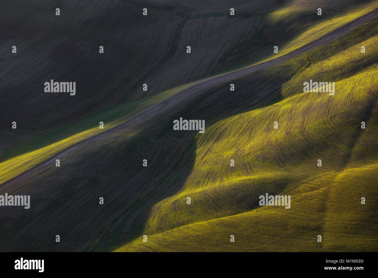 Abstrakte Frühling Landschaft, grüne Wiesen und Traktor Titel Textur bei Sonnenuntergang. Toskana Hügel, Italien Stockfoto