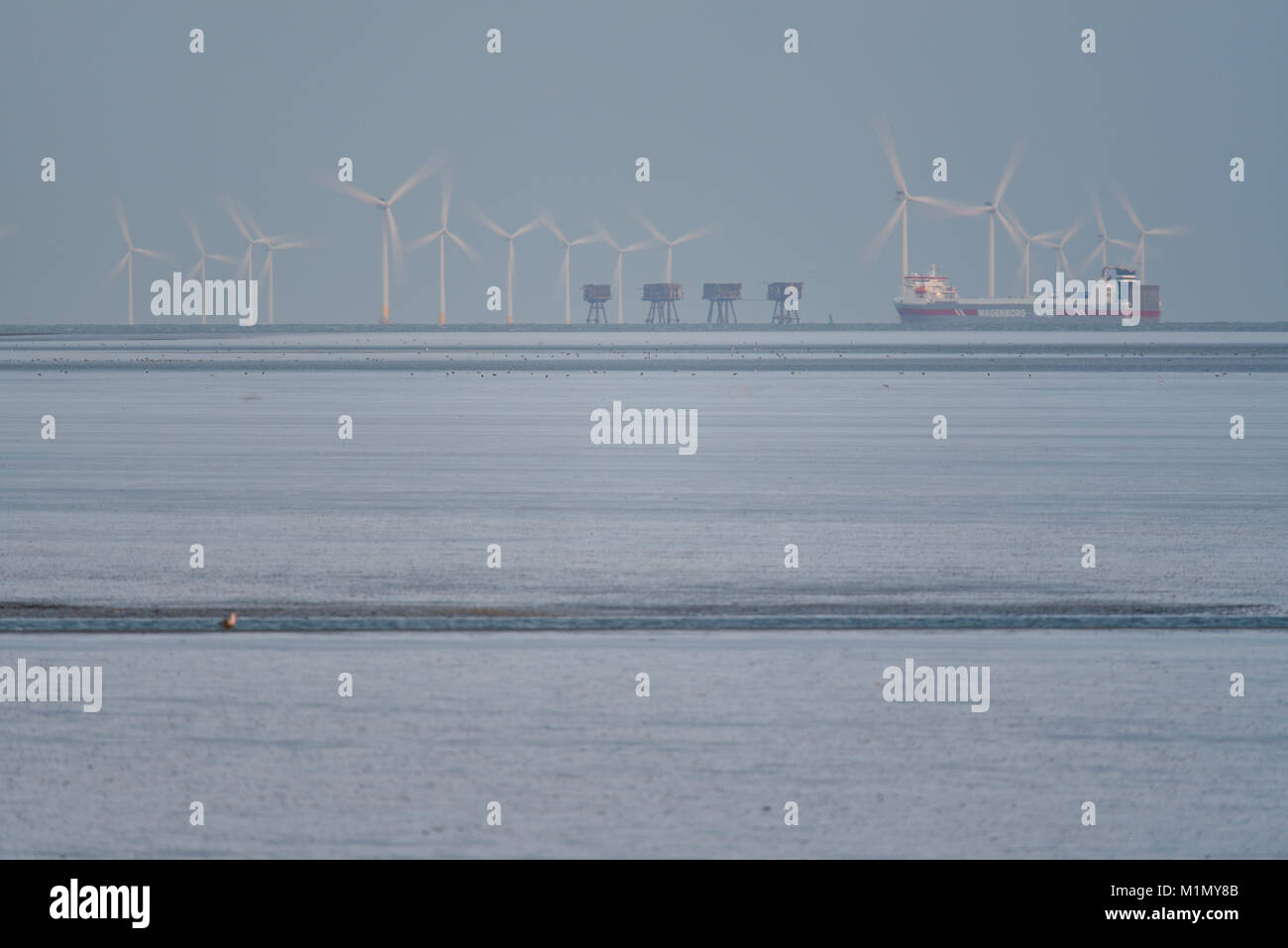 Kentish Flats Offshore Wind Farm und Red Sands Maunsell Forts an der Mündung des Thames Estuary aus der Essex und Kent Küsten. Frachtschiff vorbei Stockfoto