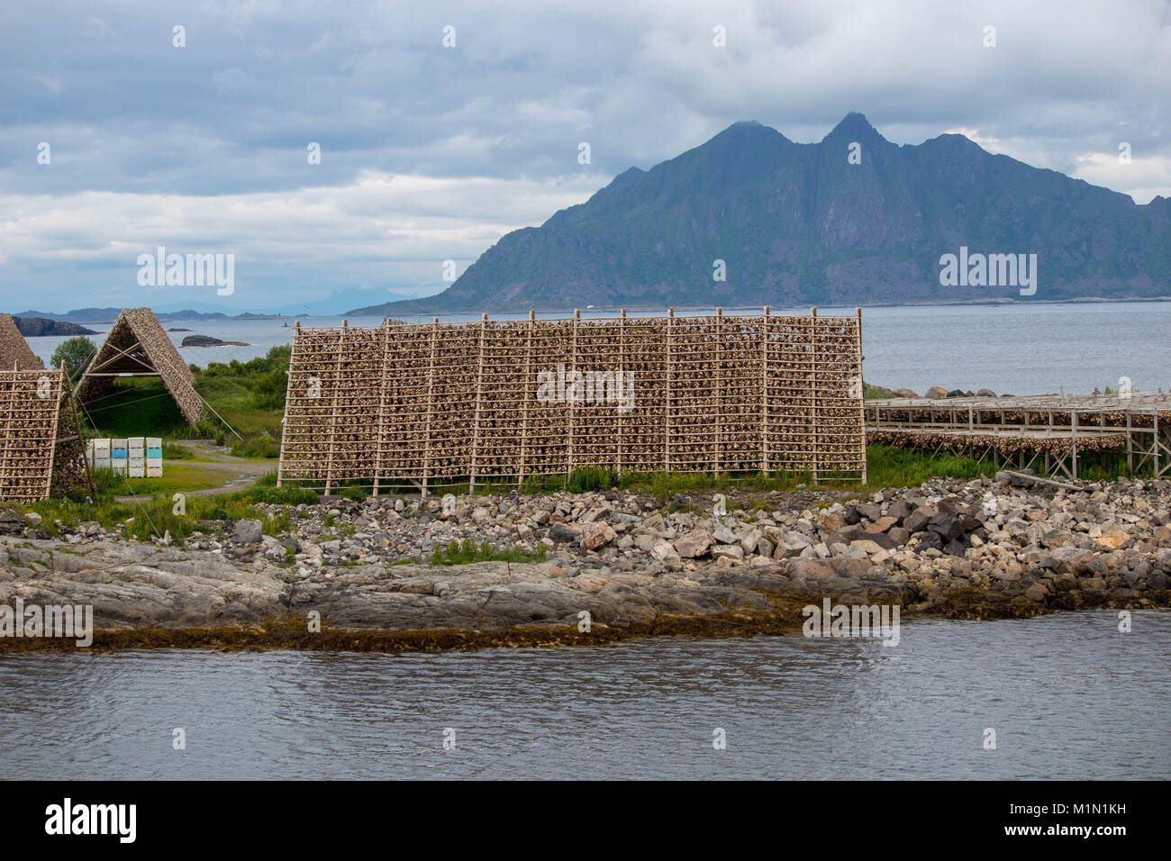 Gestelle für die Trocknung von Stockfisch in der Stadt Svolvaer in Nordland County, Norwegen. Stockfoto