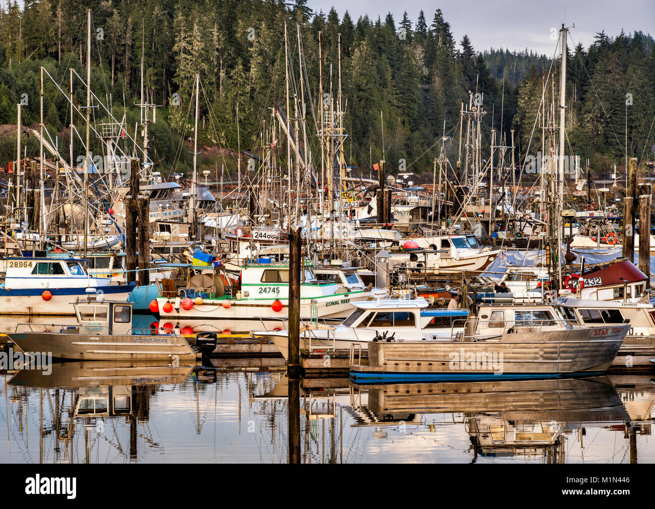 Fischerboote, Fisherman's Wharf in Port Hardy, North Vancouver Island, British Columbia, Kanada Stockfoto