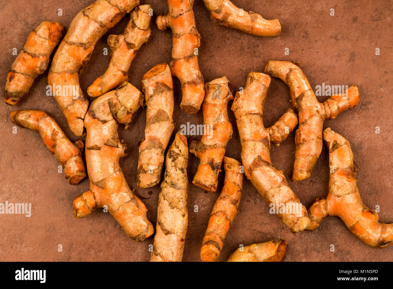 Frisches rohes Ungekocht zart und wohlschmeckend Gelbwurz Kochen Spice Roter Hintergrund Stockfoto
