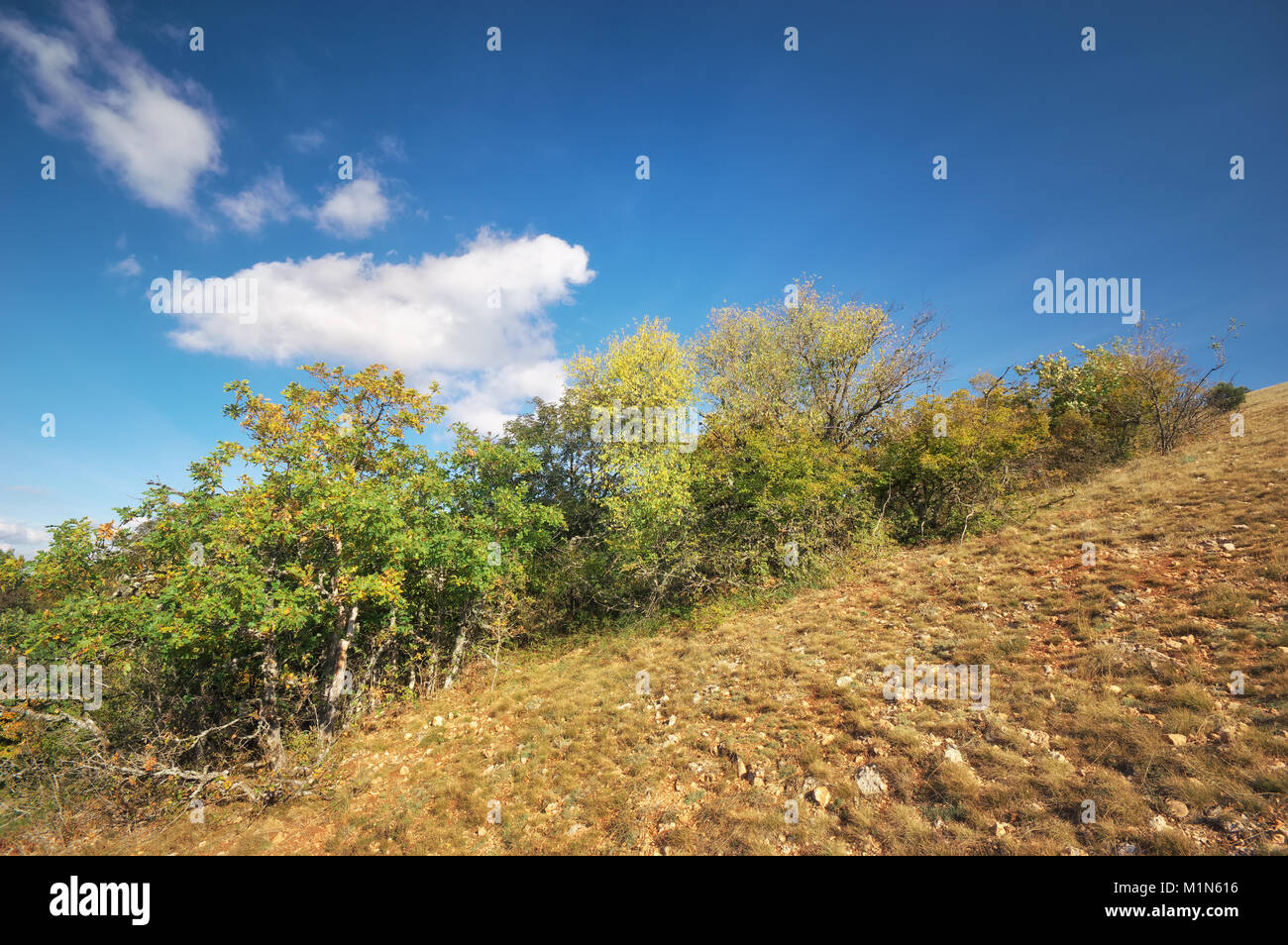 Berg herbst Hügel Landschaft. Natur Zusammensetzung Stockfoto