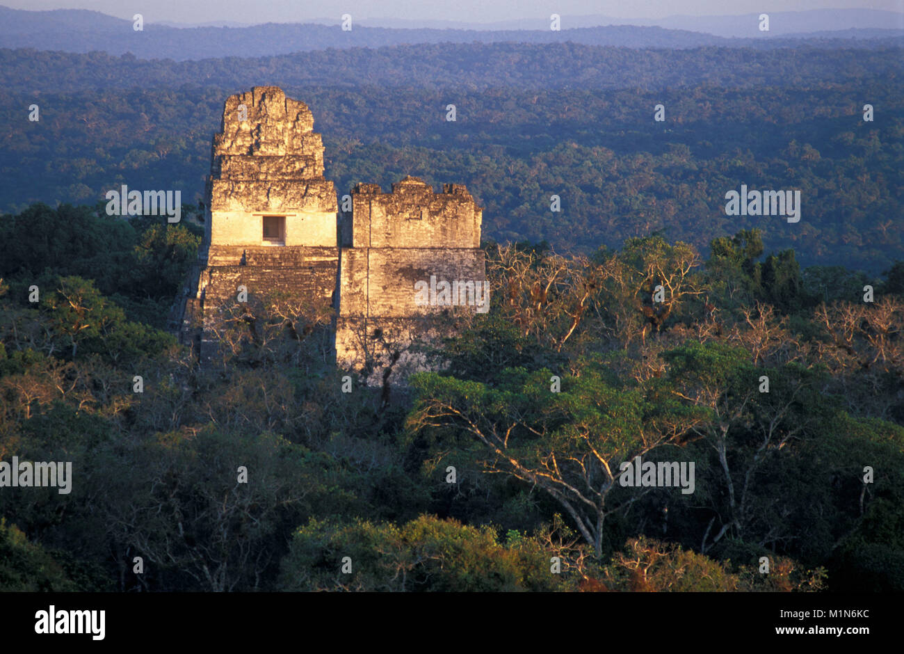 Guatemala. Tikal. Maya Ruinen, Pyramiden. Stockfoto