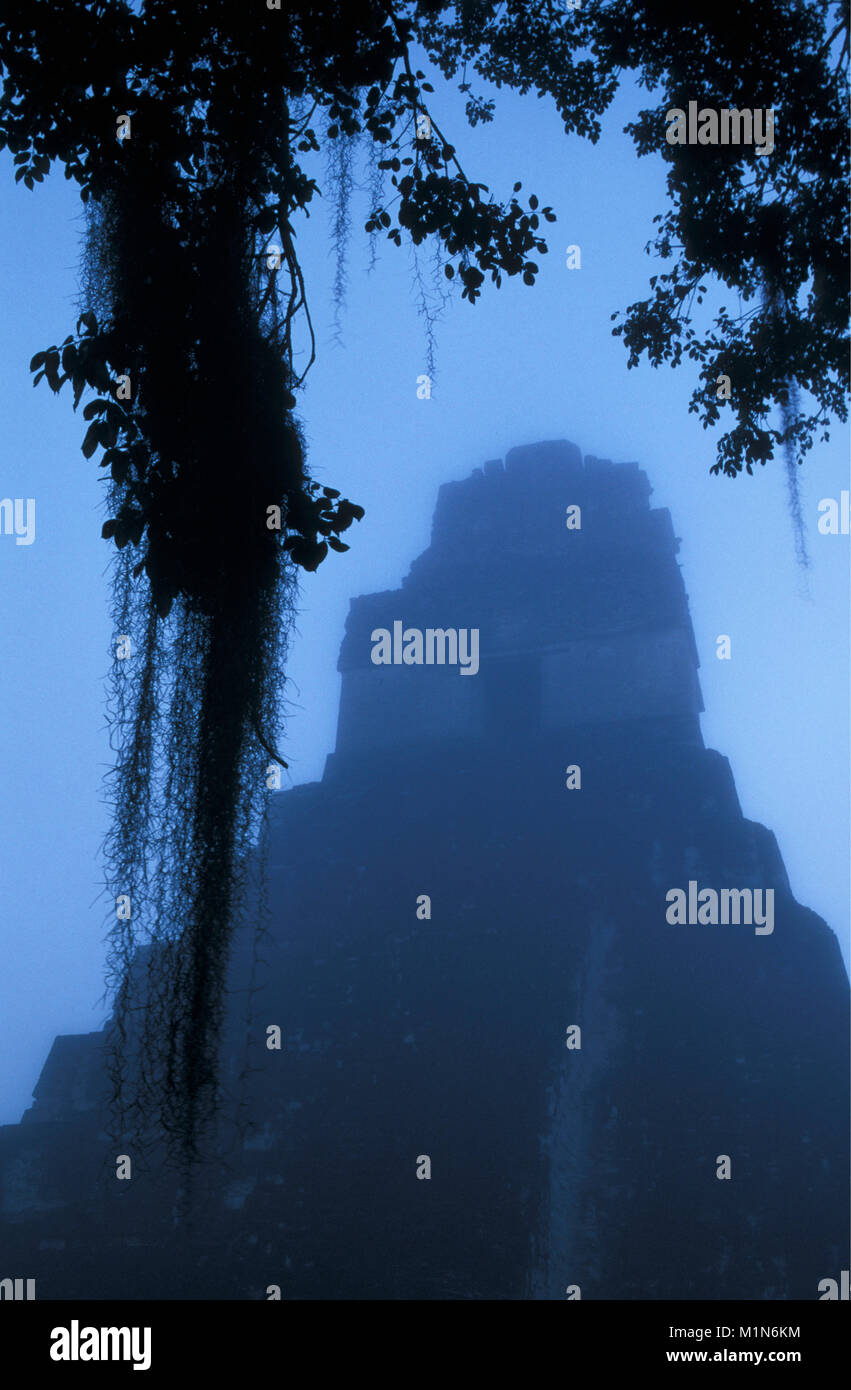 Guatemala. Tikal. Maya Ruinen, Pyramiden. Stockfoto