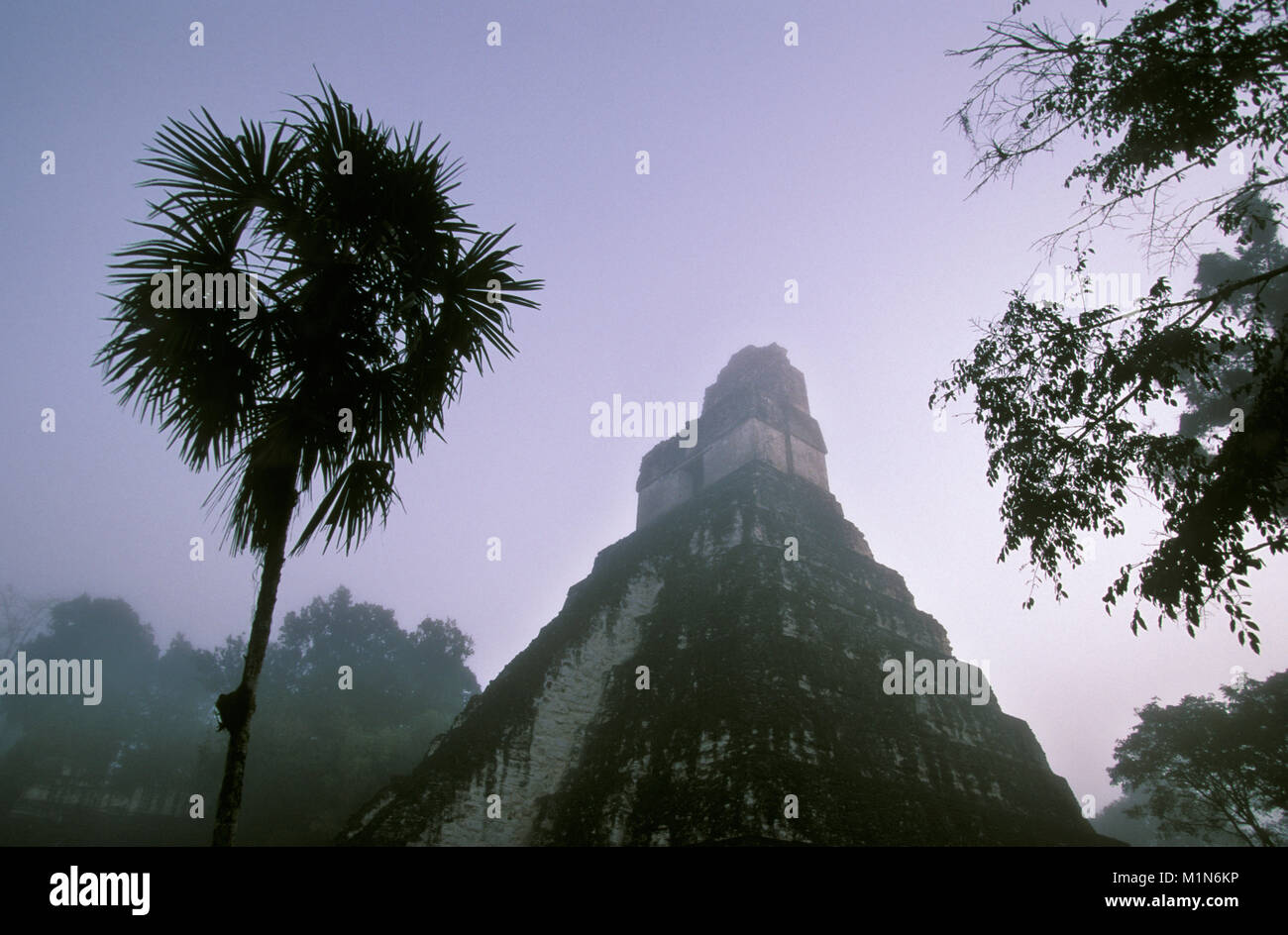 Guatemala. Tikal. Maya Ruinen, Pyramiden bei Sonnenaufgang. Stockfoto