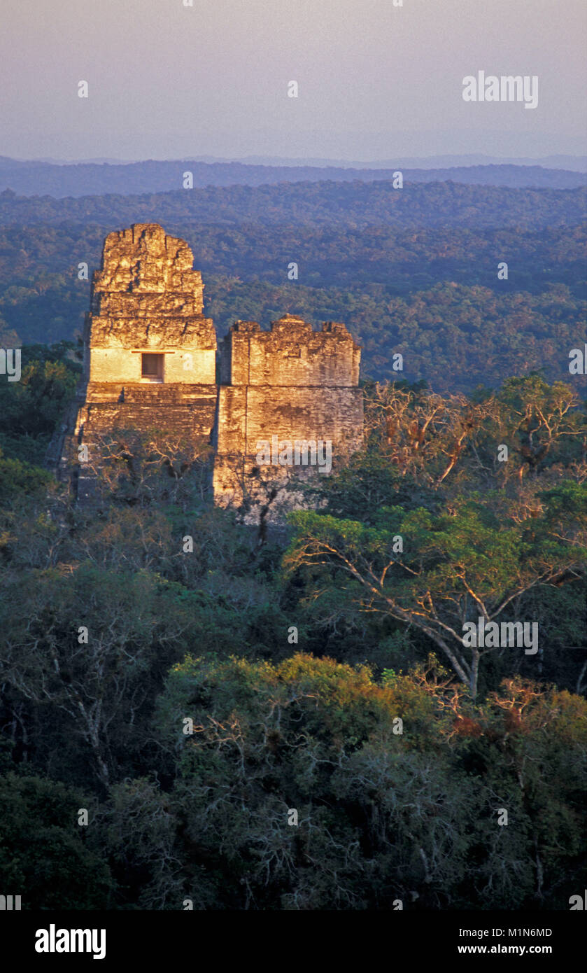Guatemala. Tikal. Maya Ruinen, Pyramiden. Stockfoto