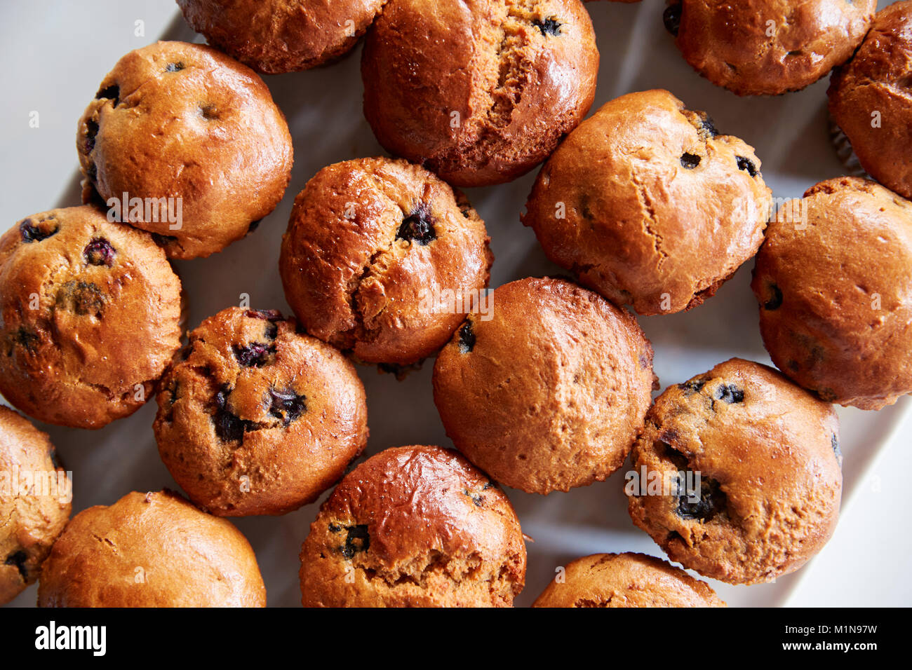 Anzeige der frisch gebackene Blueberry Muffins Coffee Shop Stockfoto