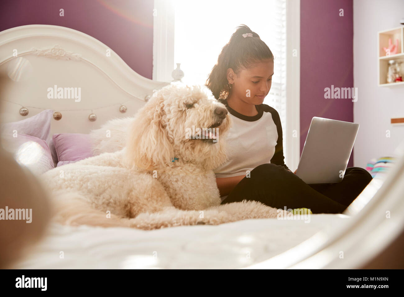 Junge Teen Girl mit Laptop auf ihrem Bett neben Hund Stockfoto