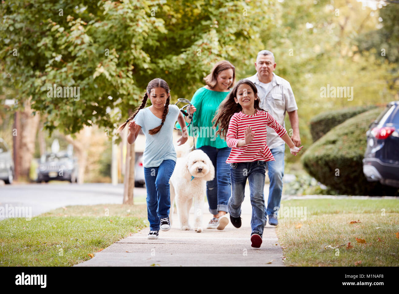 Großeltern und Enkelinnen Wandern Hund Straße Stockfoto