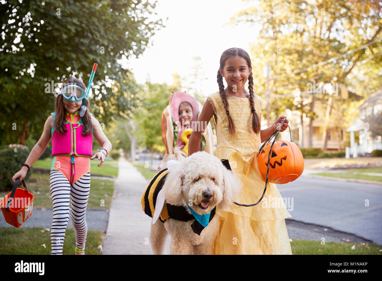 Kinder und Hund in Halloween Kostüme für Süßes oder Saures Stockfoto