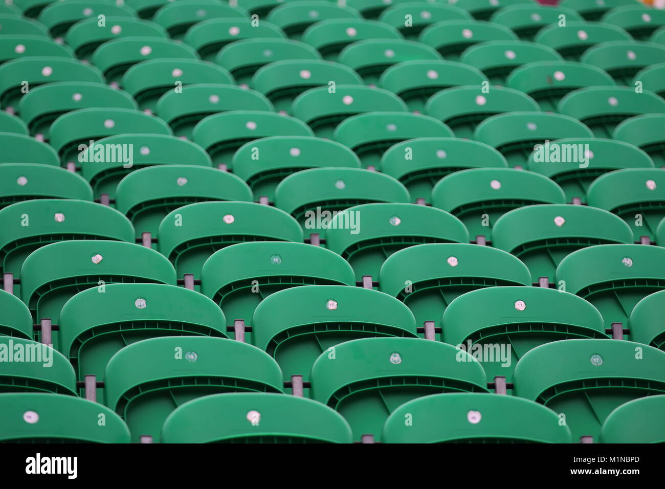 Reihen von grünen Sitze an der Scarborough Open Air Theater Stockfoto