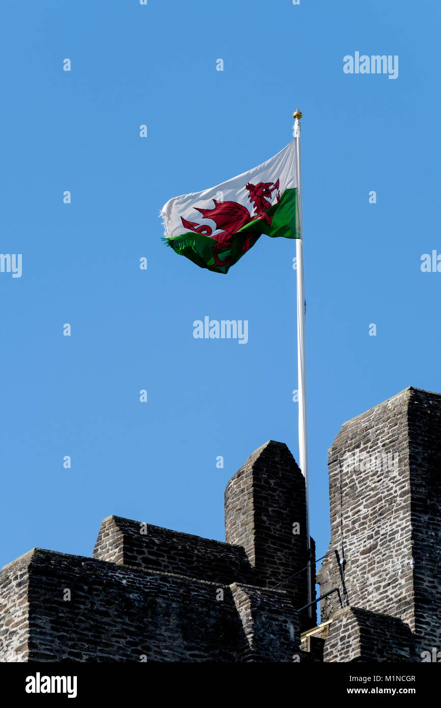 Walisische Flagge über Caerphilly Castle, auf Fahnenmast, der im Wind weht Stockfoto