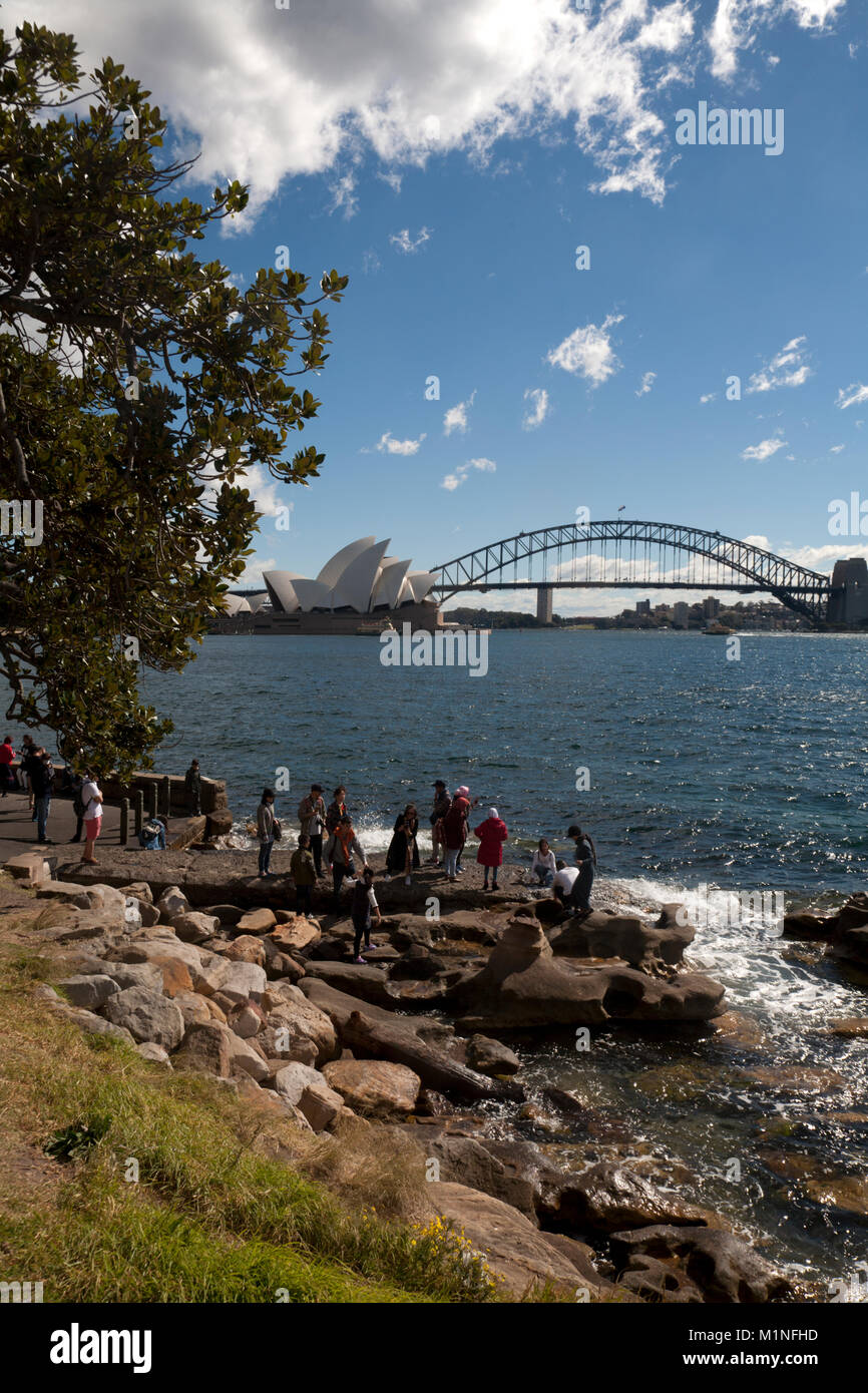 Mrs Macquaries point Sydney Harbour Sydney New South Wales, Australien Stockfoto