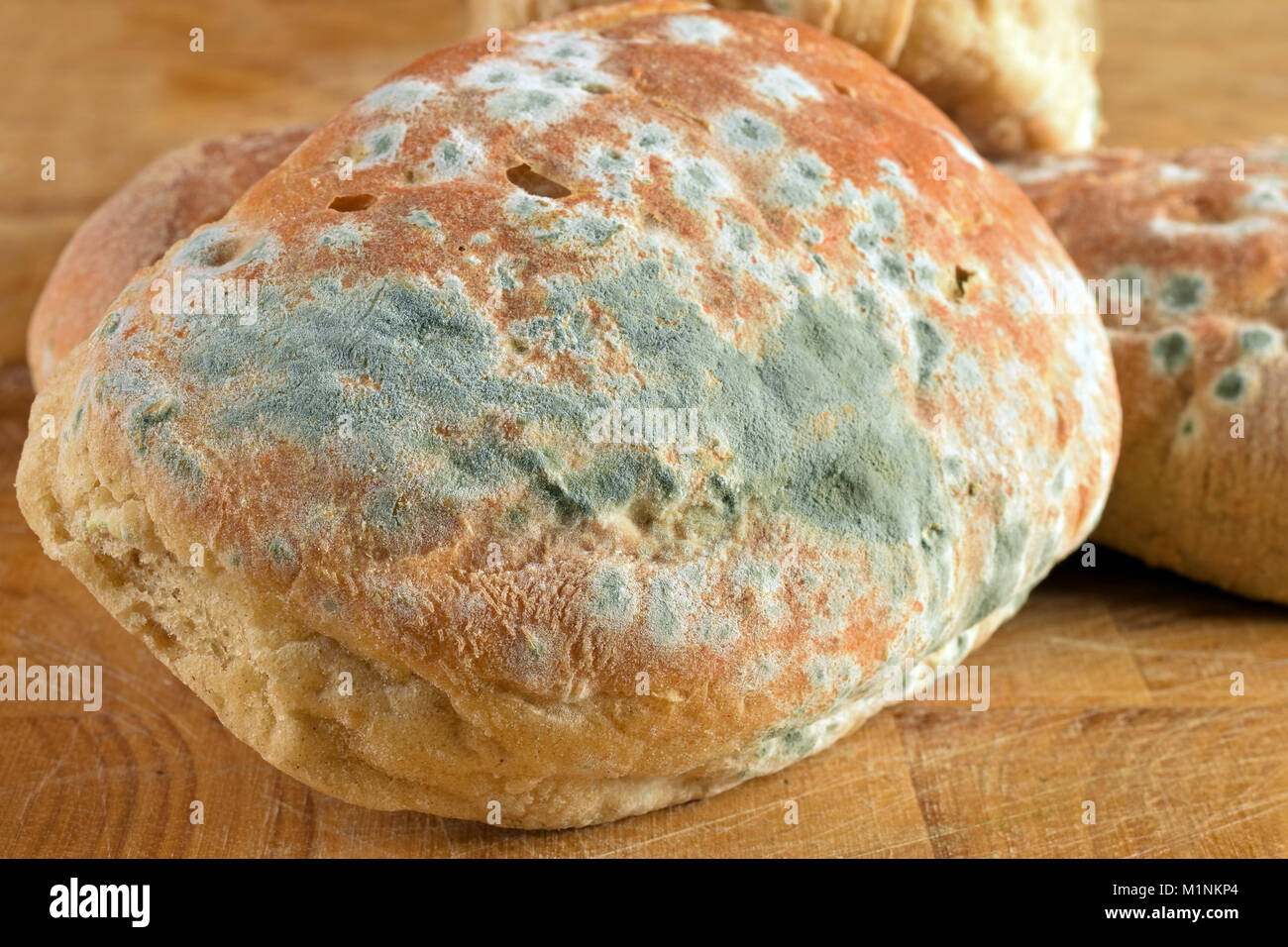 Nahaufnahme von verschimmeltes Brot Stockfoto