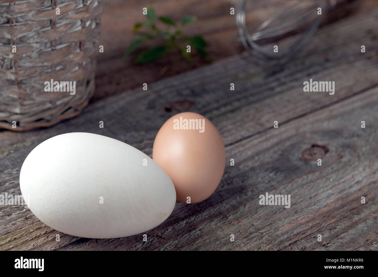 Gans und Huhn Eier auf Holztisch mit Korb und Peitsche Stockfoto