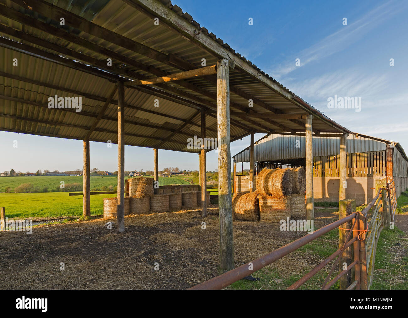 Fang die Heuballen in einer doppelseitigen Offenstall Abendsonne. Stockfoto