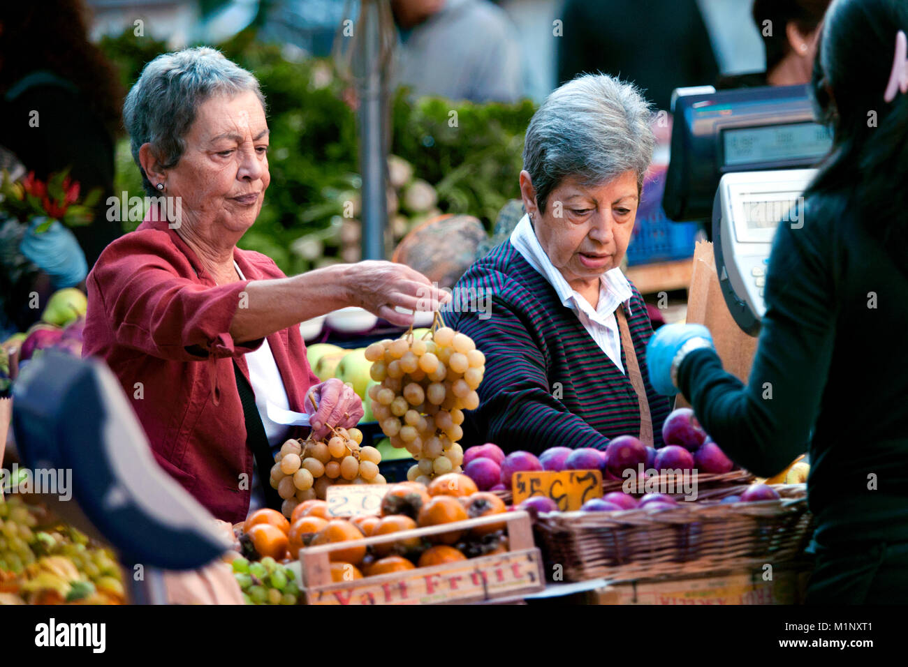 Lokale Kunden kaufen Trauben am Campo de' Fiori Farmers Market, Piazza Campo de' Fiori, Rom, Italien Stockfoto