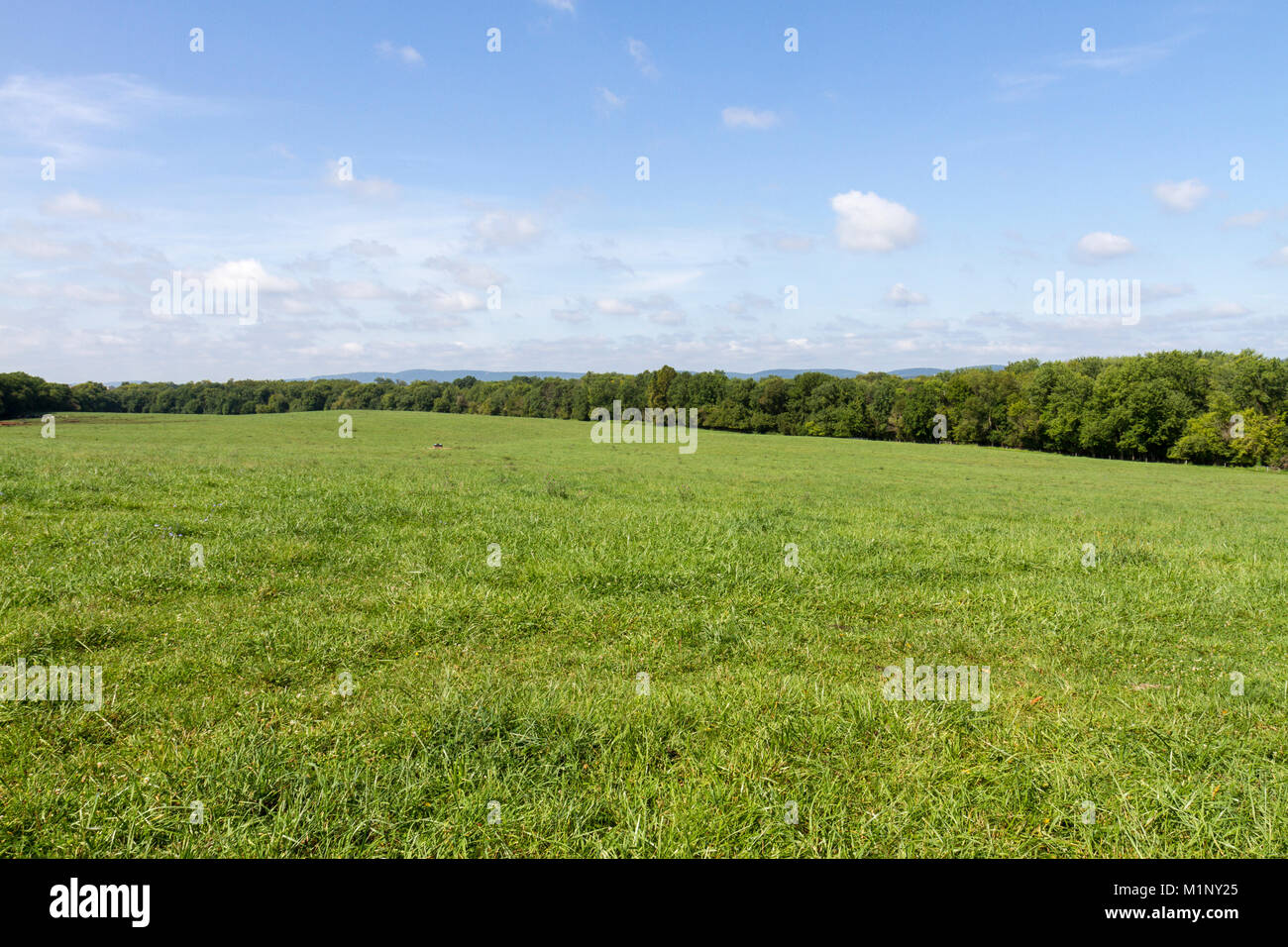 Blick über das Schlachtfeld in der Nähe von Worthington Farm, Monocacy River, Monocacy nationales Schlachtfeld, Frederick, MD, USA. Stockfoto