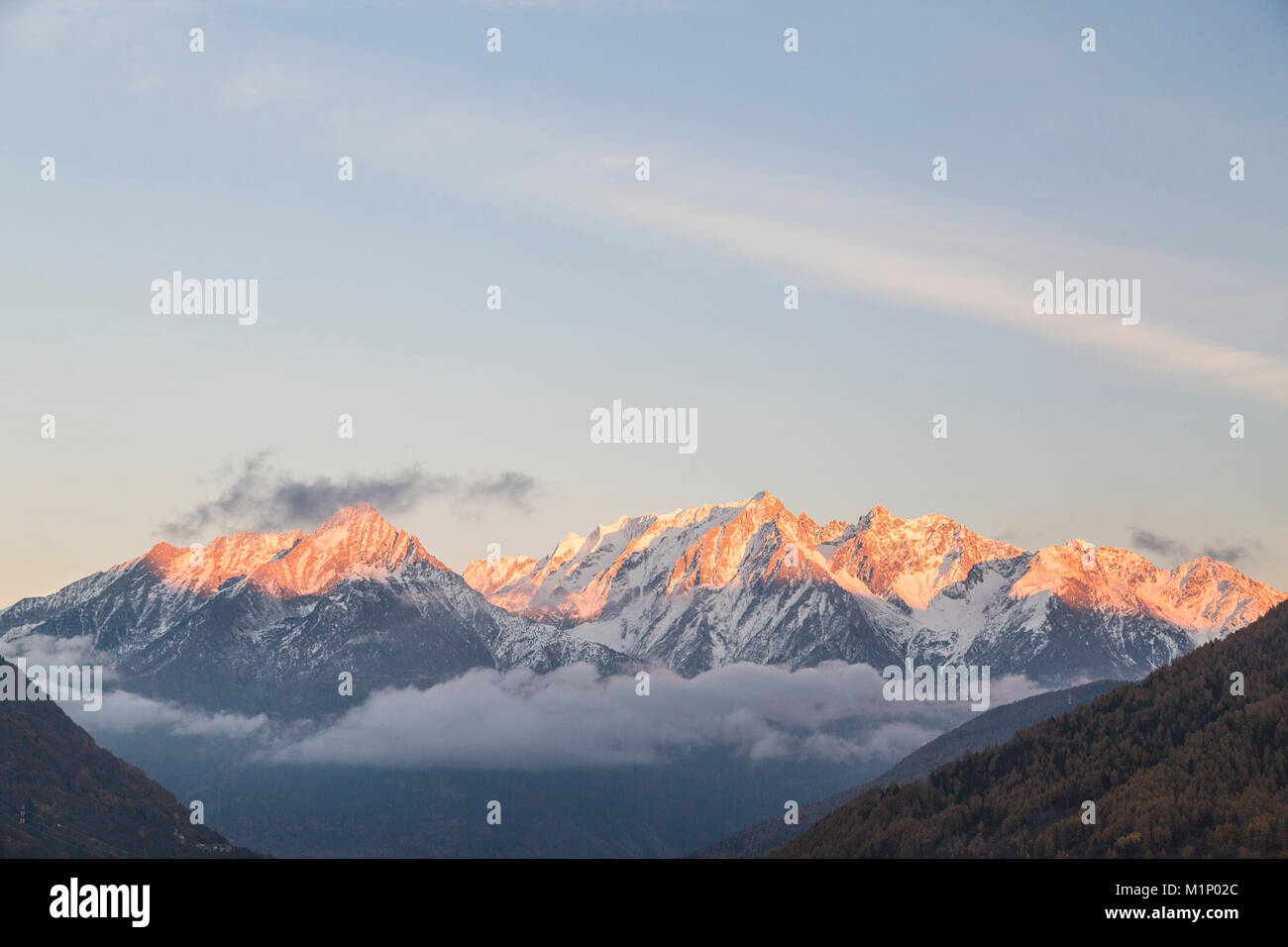 Schneebedeckten Gipfel bei Sonnenuntergang, Ponte di Legno, Provinz Brescia, Valcamonica, Lombardei, Italien, Europa Stockfoto