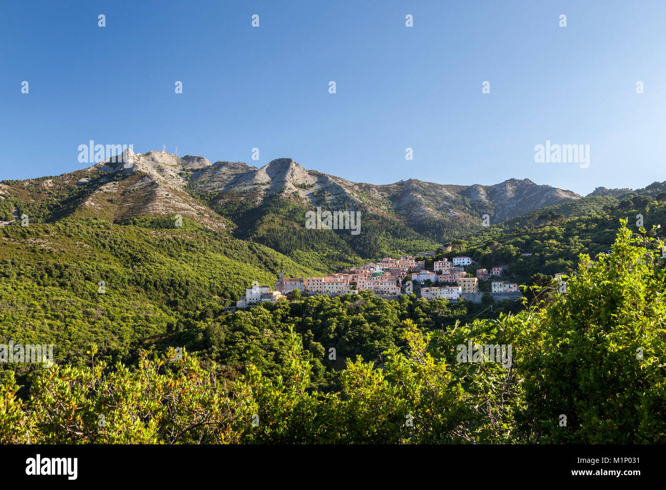Das Dorf von San Piero in Campo am Fuße des Monte Capanne, Insel Elba, Livorno Provinz, Toskana, Italien, Europa Stockfoto
