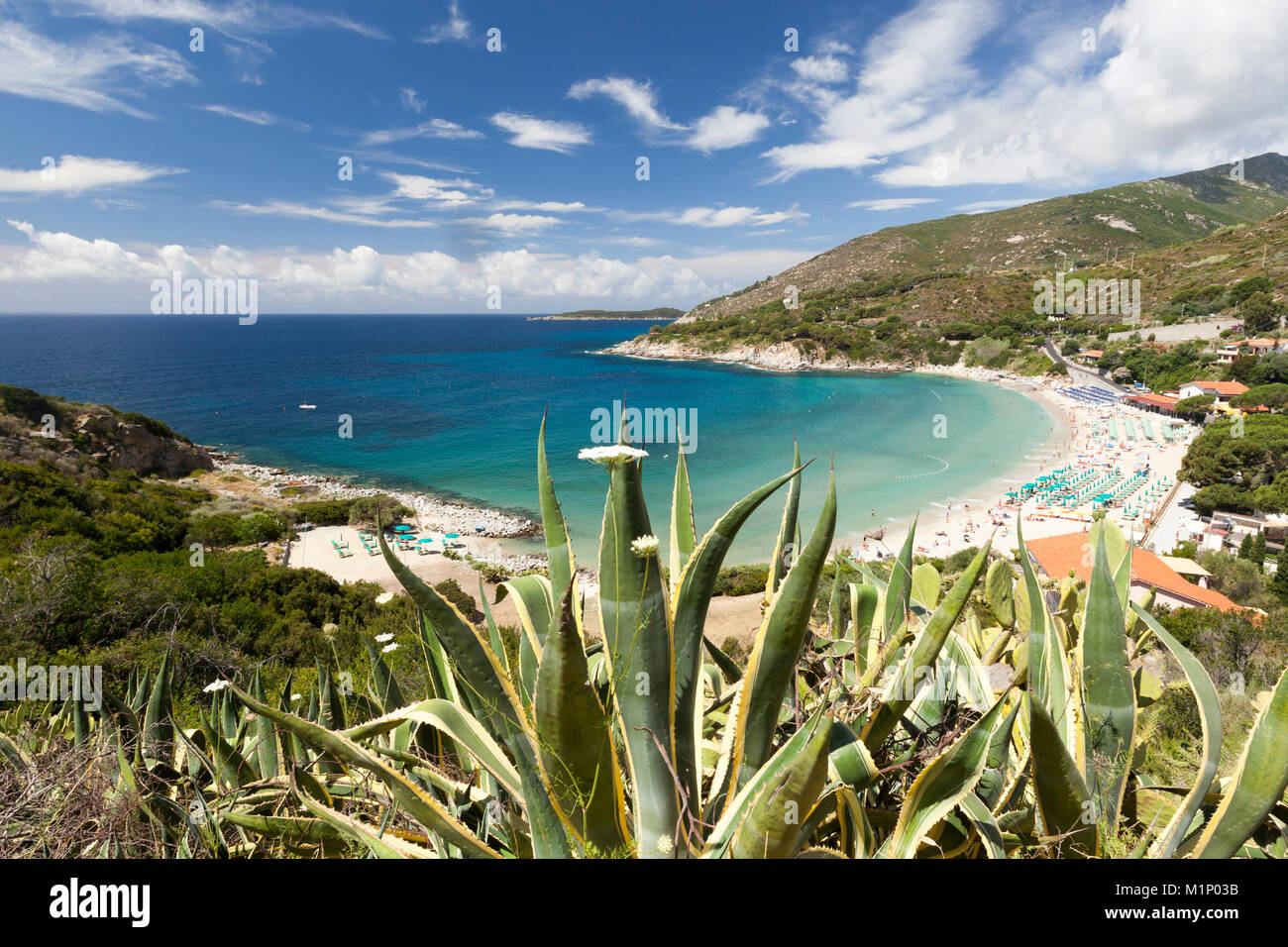 Blick auf das türkisfarbene Meer und Strand von Cavoli, Marciana, Insel Elba, Livorno Provinz, Toskana, Italien, Europa Stockfoto