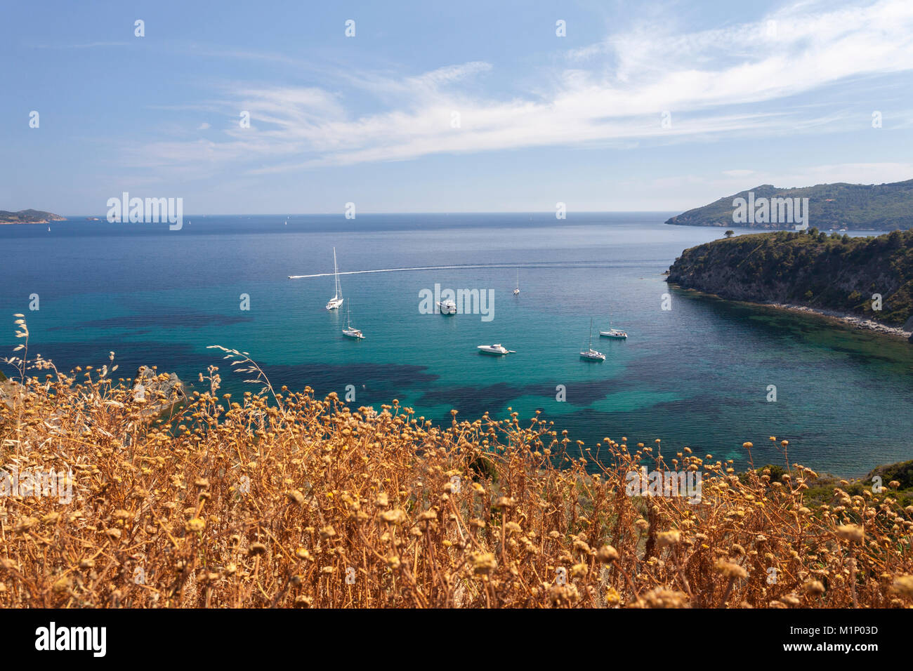 Segelboote im türkisfarbenen Meer, Sant'Andrea Strand, Marciana, Insel Elba, Livorno Provinz, Toskana, Italien, Europa Stockfoto