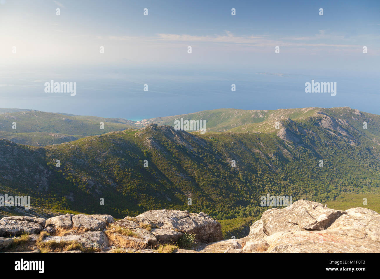 Blick auf das Meer auf dem Weg zum Monte Capanne, Insel Elba, Livorno Provinz, Toskana, Italien, Europa Stockfoto