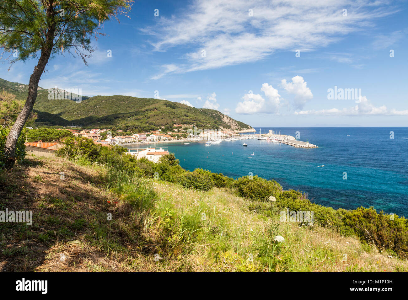 Blick auf den Hafen und das türkisfarbene Meer, Marciana Marina, Insel Elba, Livorno Provinz, Toskana, Italien, Europa Stockfoto
