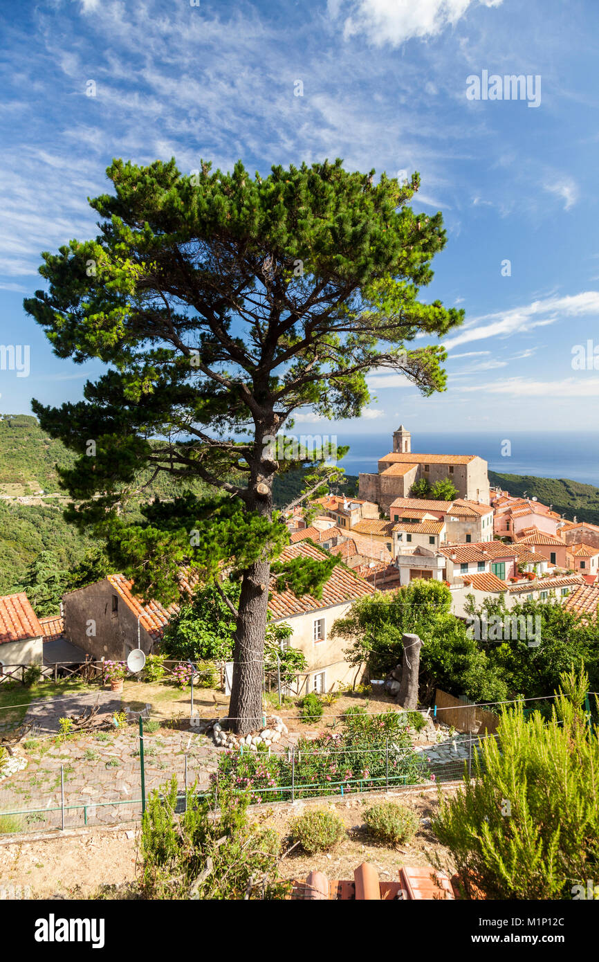 Dorf Poggio auf den Hügeln des Monte Capanne, Marciana, Insel Elba, Livorno Provinz, Toskana, Italien, Europa Stockfoto
