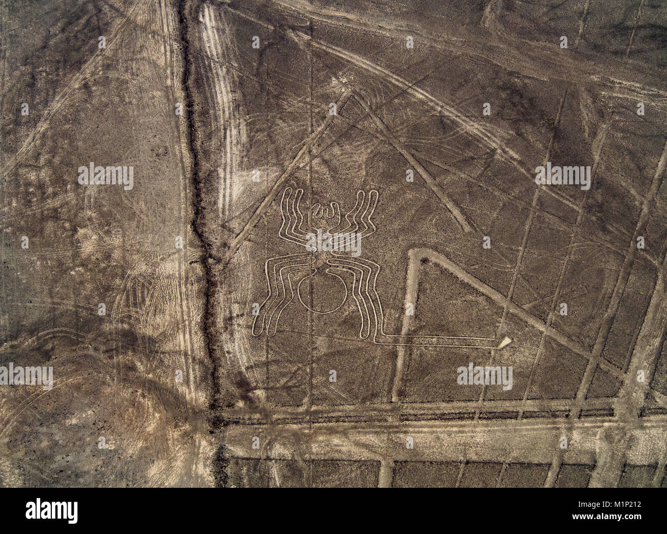 Die Spinne Geoglyph, Luftaufnahme, Nazca, UNESCO-Weltkulturerbe, ICA-Region, Peru, Südamerika Stockfoto