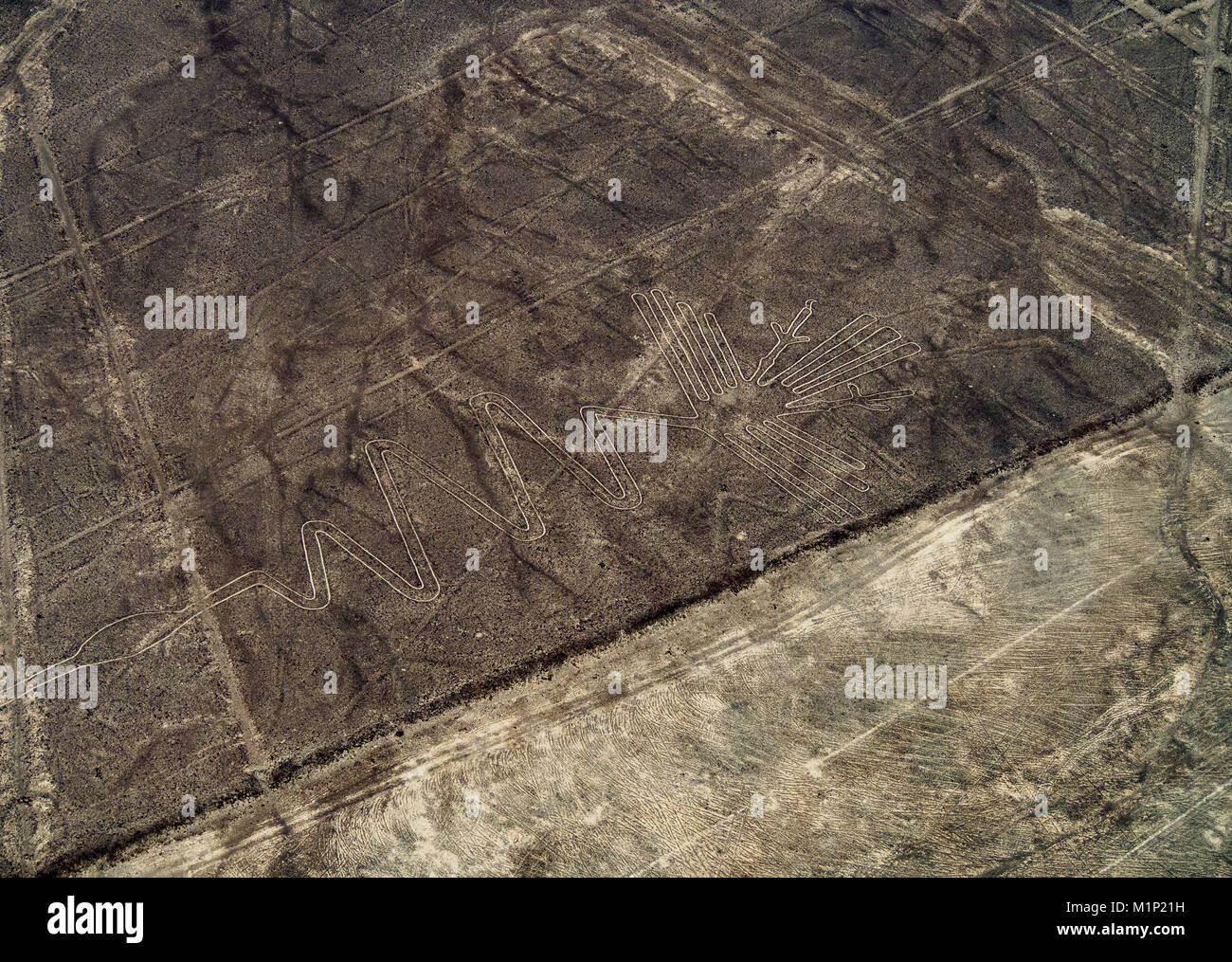 Der Reiher Geoglyph, Luftaufnahme, Nazca, UNESCO-Weltkulturerbe, ICA-Region, Peru, Südamerika Stockfoto