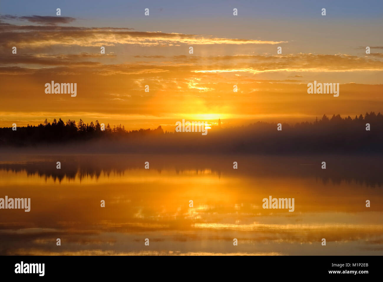 Sonnenaufgang mit frühen Morgennebel über Kirchsee mit Kloster Reutberg, Sachsenkam, Oberbayern, Bayern, Deutschland Stockfoto