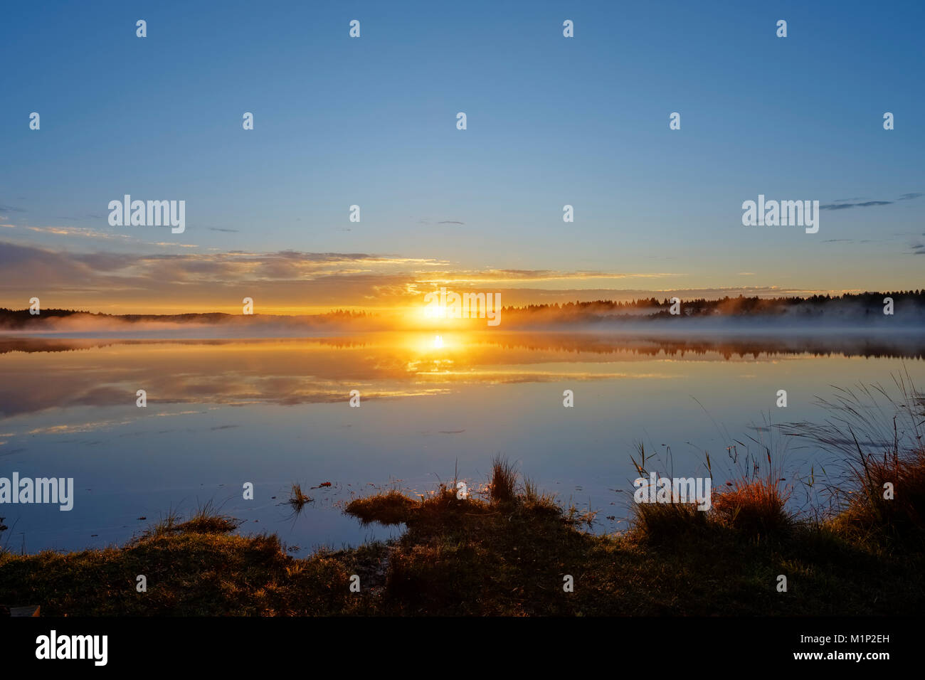 Sonnenaufgang mit frühen Morgennebel über Kirchsee, Sachsenkam, Oberbayern, Bayern, Deutschland Stockfoto