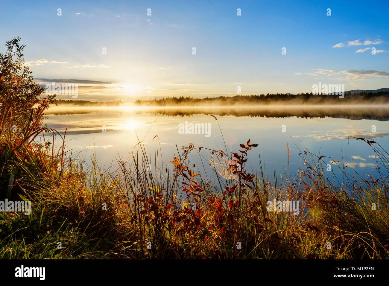 Herbstliche Stimmung, Sunrise mit frühen Morgennebel, Kirchsee, in der Nähe von Sachsenkam, Tölzer Land, Oberbayern, Bayern, Deutschland Stockfoto