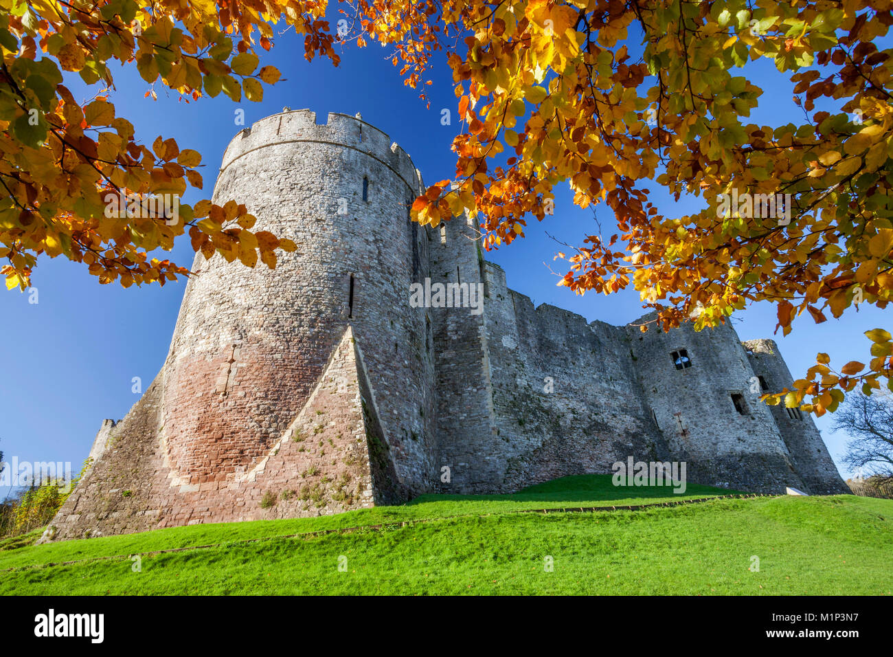 Burg Chepstow, Monmouthshire, Gwent, Wales, Vereinigtes Königreich, Europa Stockfoto