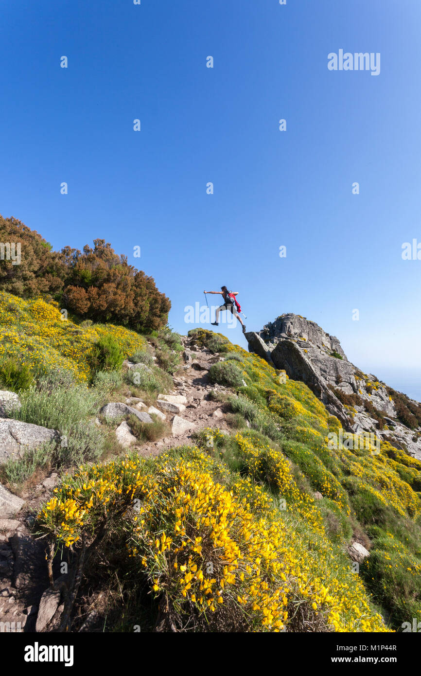 Wanderer springt auf den Felsen, auf dem Weg zum Monte Capanne, Insel Elba, Livorno Provinz, Toskana, Italien, Europa Stockfoto