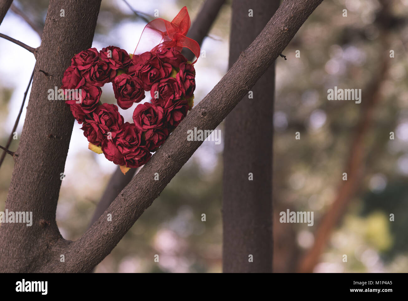 Herz aus Rosen sitzen auf Ast. Einstellung ist draußen mit der untergehenden Sonne und Dead Space auf der Rechten für Text und Nachrichten. Stockfoto