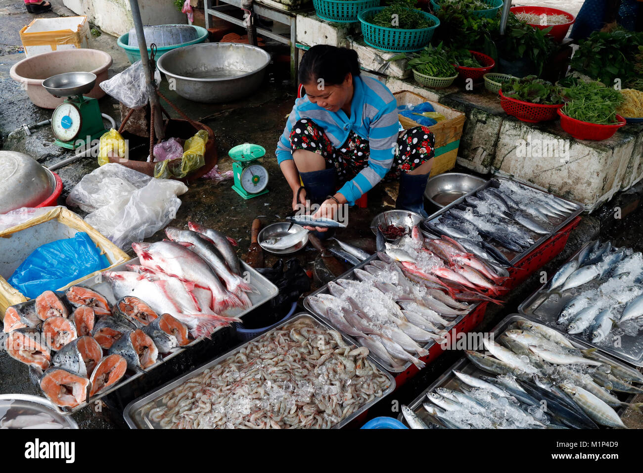 Kon Tum Markt, Frau Verkauf von Fisch, Vietnam, Indochina, Südostasien, Asien Stockfoto