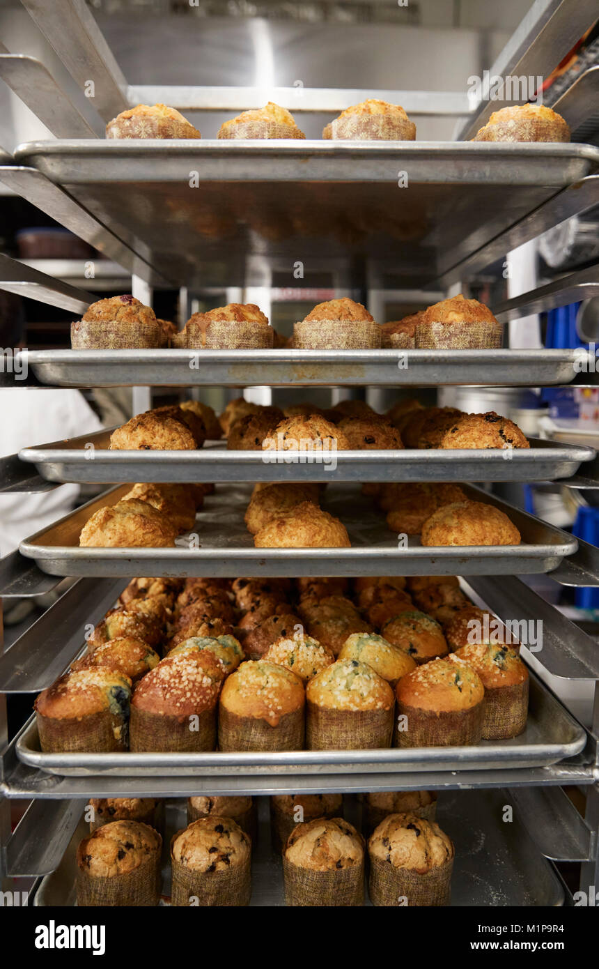Gestapelte Backformen von frisch gebackenen Muffins in einer Bäckerei Stockfoto
