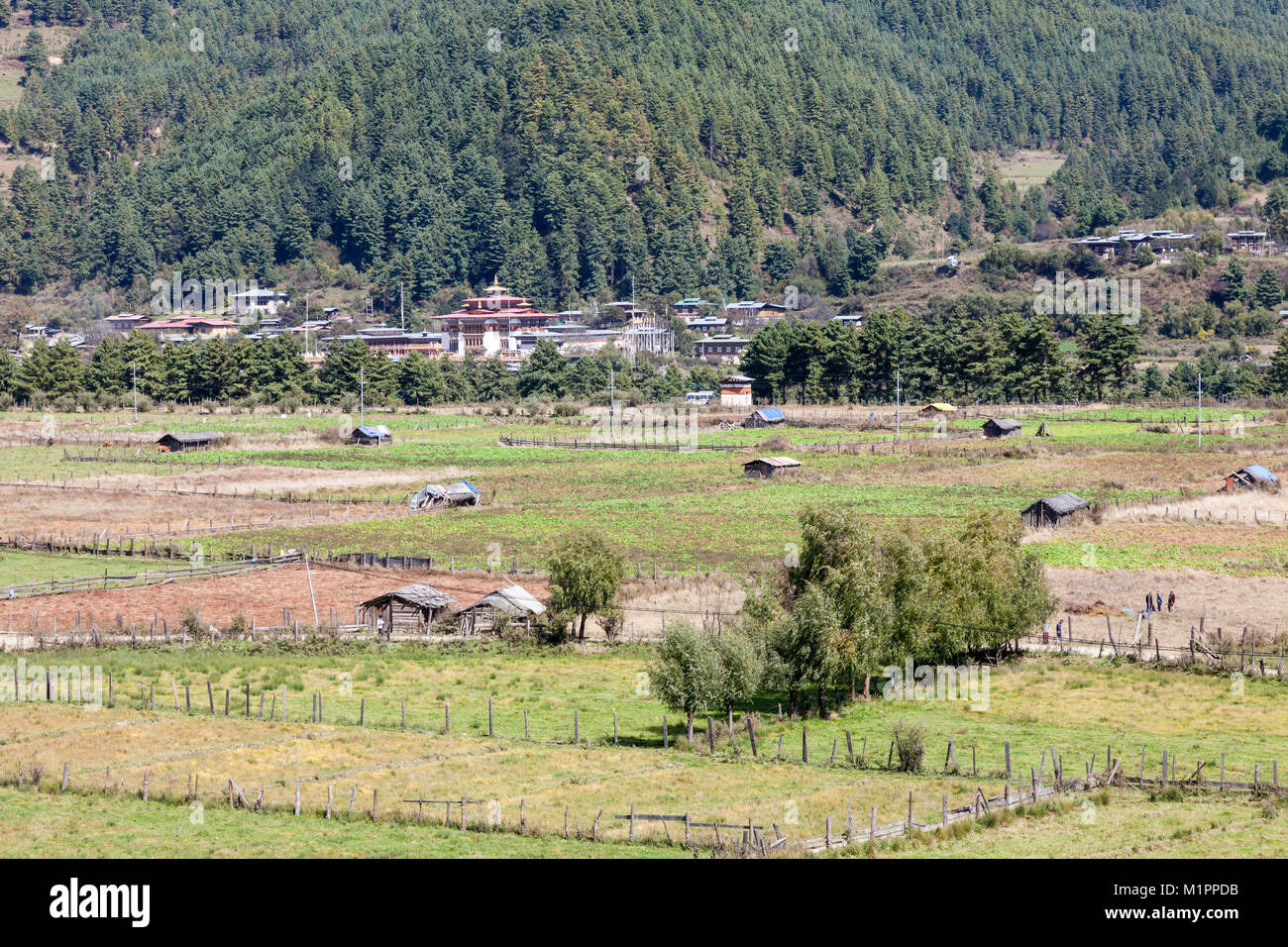 Bumthang, Bhutan. Ackerland in der Nähe von jakar. Buddhistische Klosterschule im Hintergrund. Stockfoto