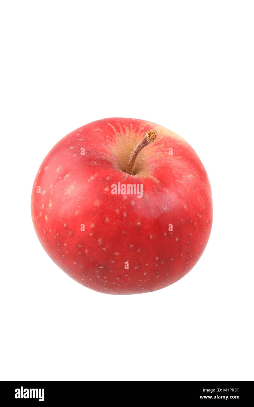 Core Obst, Apple, starke früheste, Platten, Kernobst, Apfelsorte, die Steife Früheste, Freisteller Stockfoto