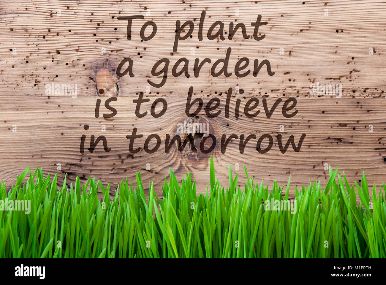 Get Zitat garten For iPhone Free Zitat Garten