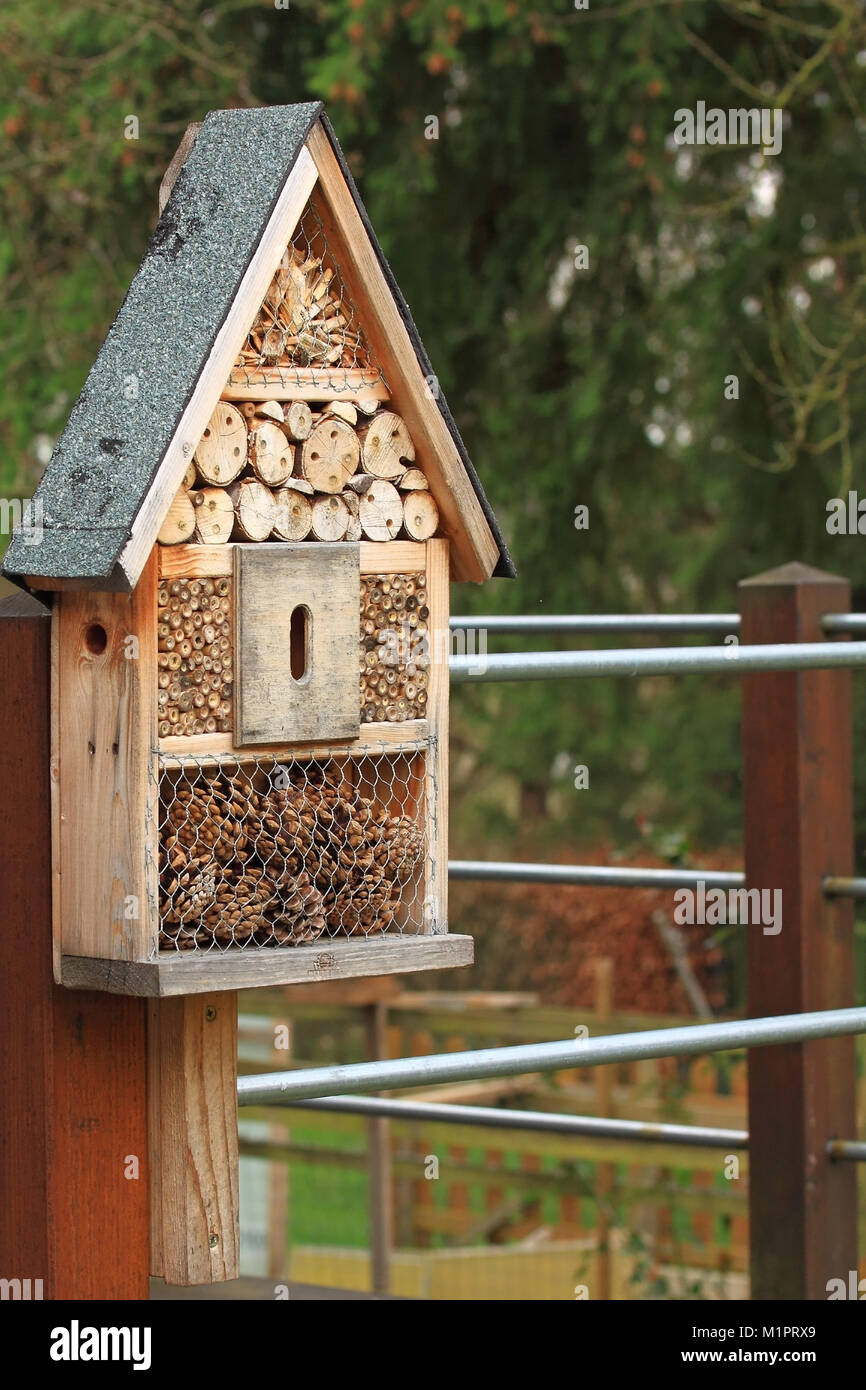 Kleine Insekten hotel für die solitären Bienen., Kleines Insektenhotel für Wildbienen solitäre. Stockfoto