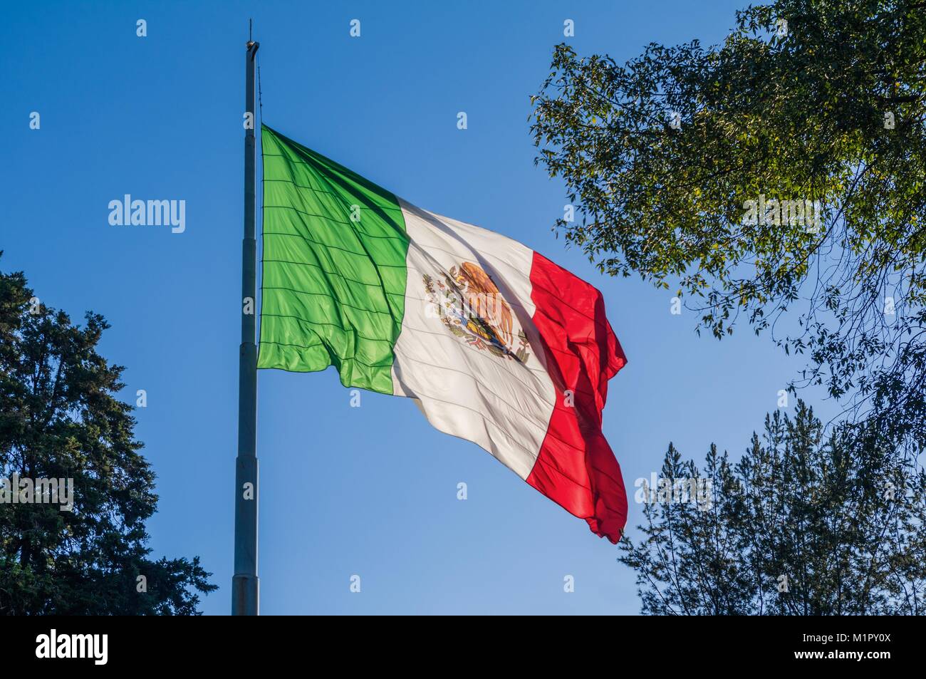 Flagge Mexiko schwenkten auf einen Fahnenmast. Stockfoto