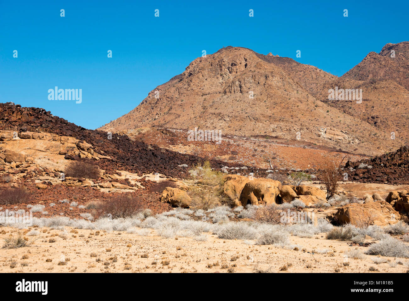 Brandbergmassiv, Namibia Brandberg Stockfoto